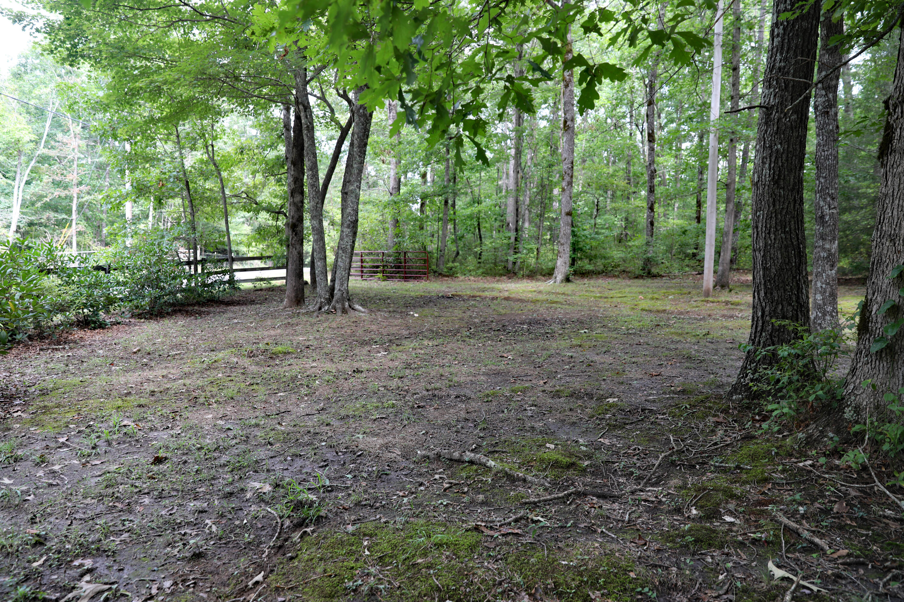 500 Little Fiery Road Sequatchie, TN 37374 - Photo 22 of 33 085A8213 copy