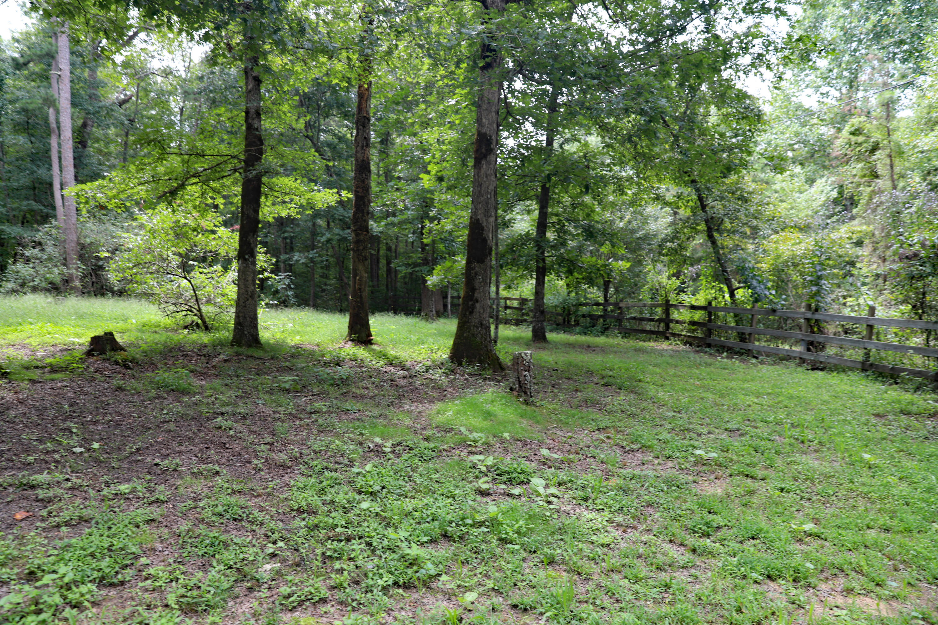 500 Little Fiery Road Sequatchie, TN 37374 - Photo 4 of 33 085A8208 copy