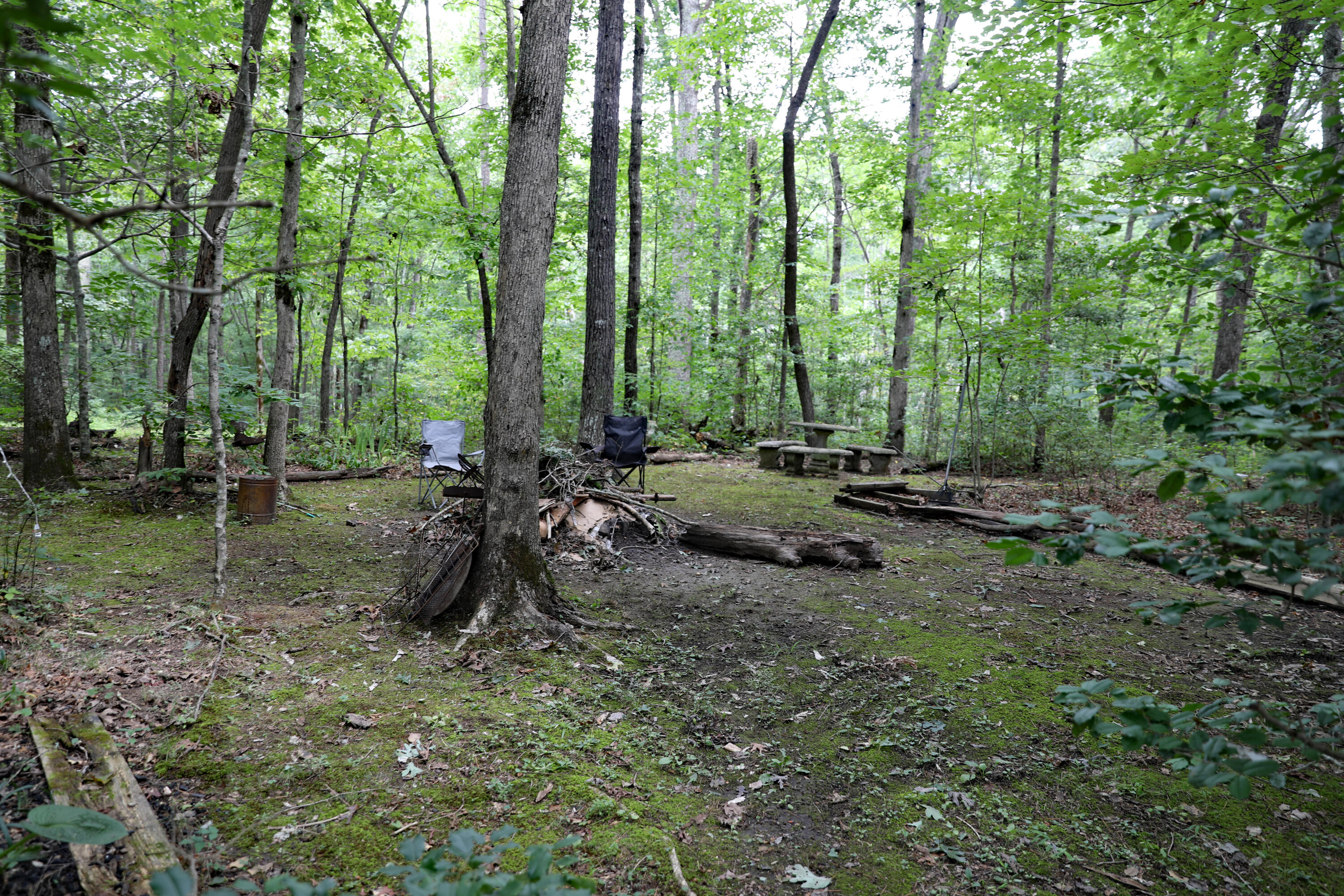 500 Little Fiery Road Sequatchie, TN 37374 - Photo 33 of 33 085A8226 copy