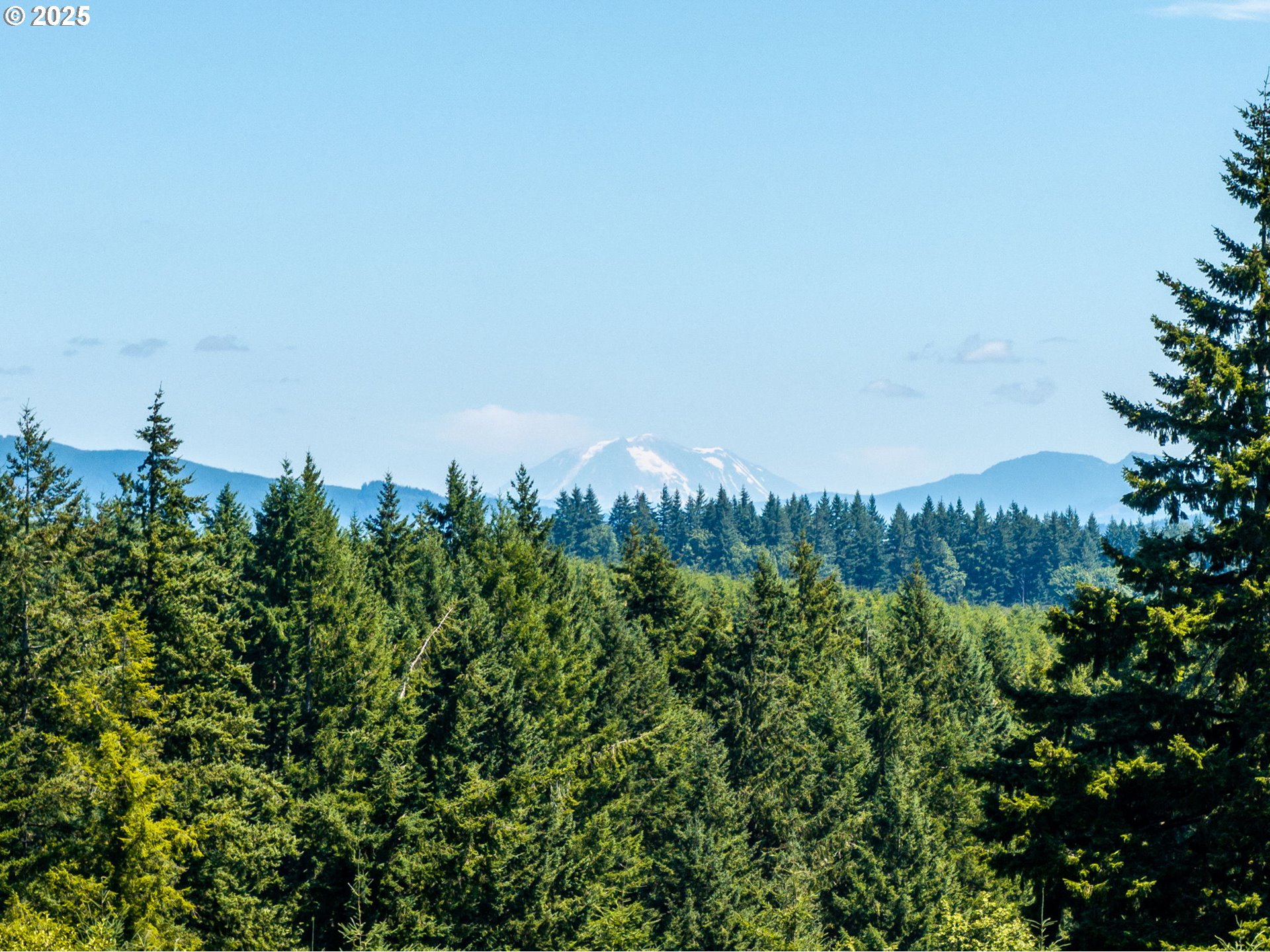 70292 Walker Road Rainier, OR 97048 - Photo 36 of 40 a view of a large trees with plants and a wooden fence