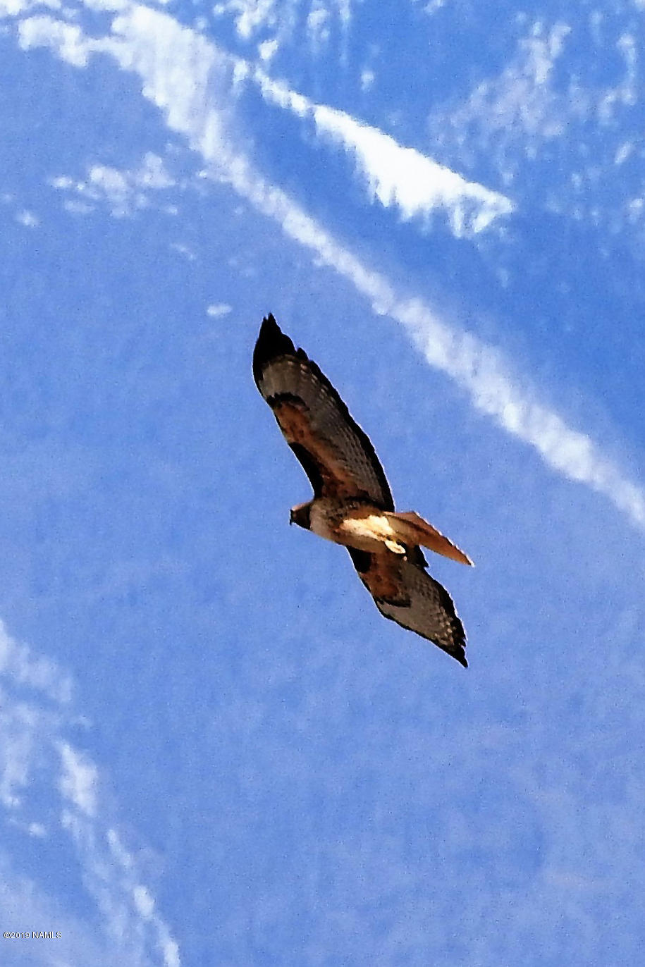 12899 Stockmens Road Flagstaff, AZ 86038 - Photo 12 of 26 a park with a bench in back