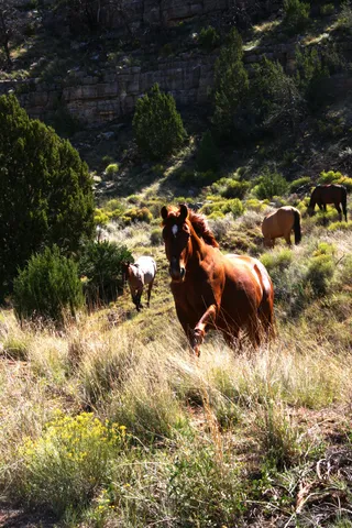 a view of a yard covered in snow