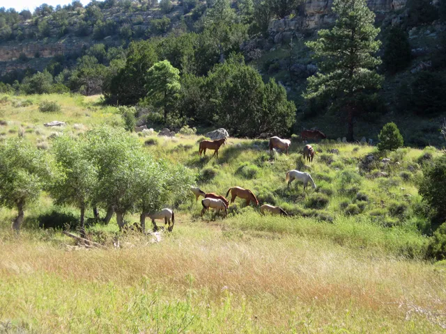 a backyard of a house