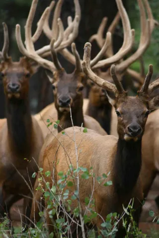 a view of a street from a yard