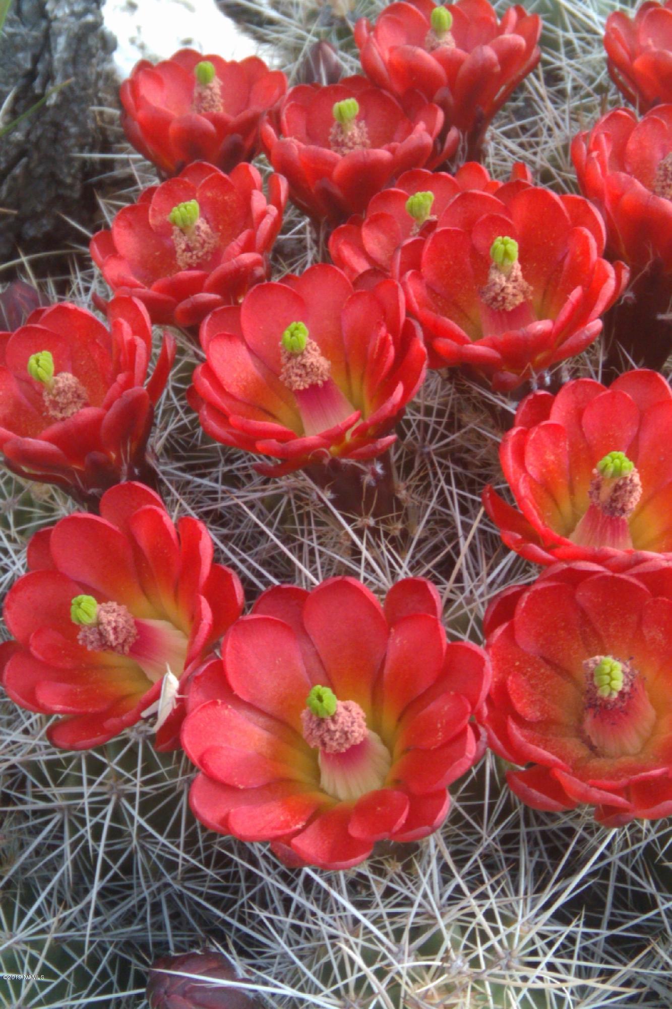 12899 Stockmens Road Flagstaff, AZ 86038 - Photo 21 of 26