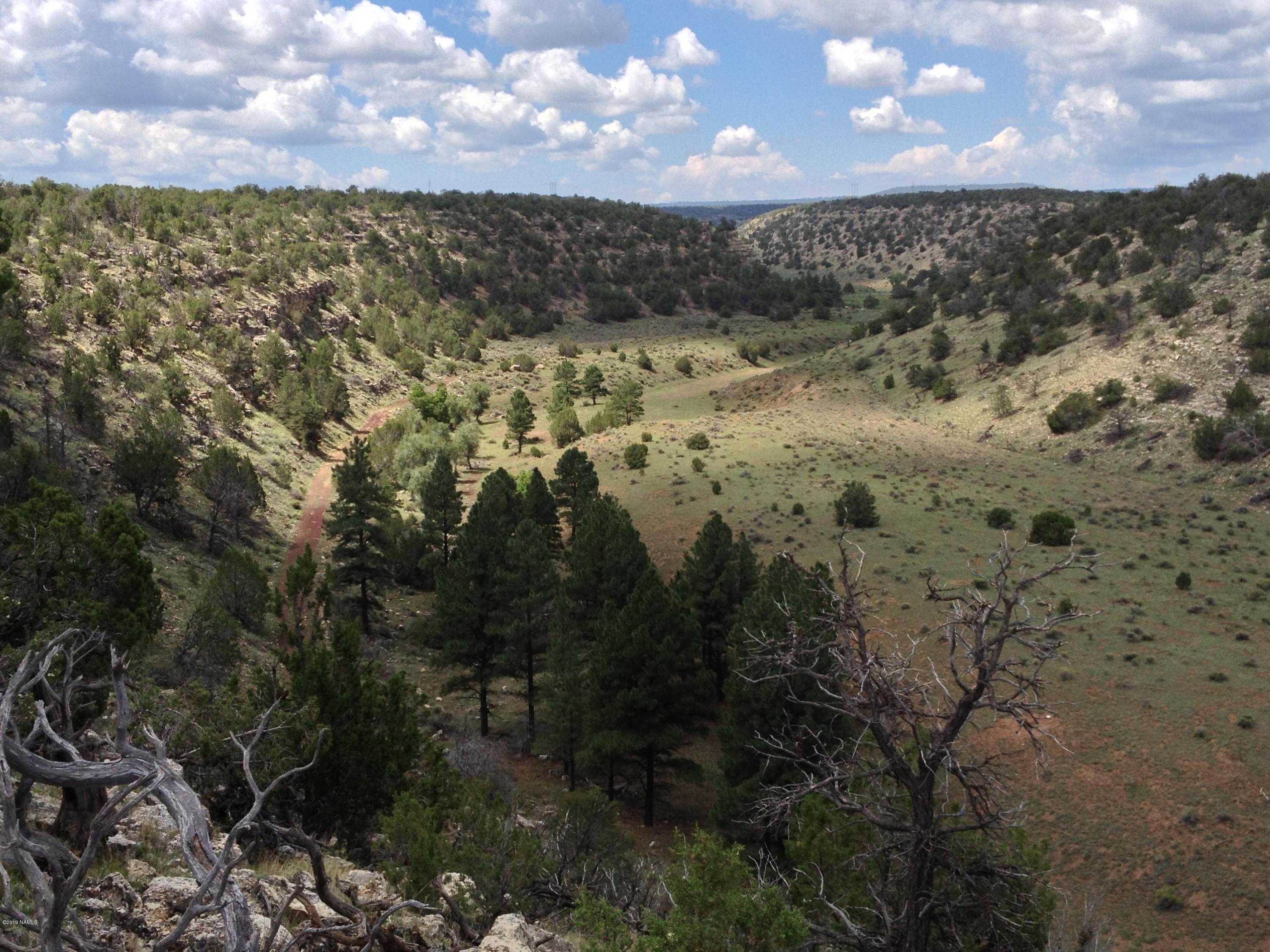 12899 Stockmens Road Flagstaff, AZ 86038 - Photo 3 of 26 a view of a city