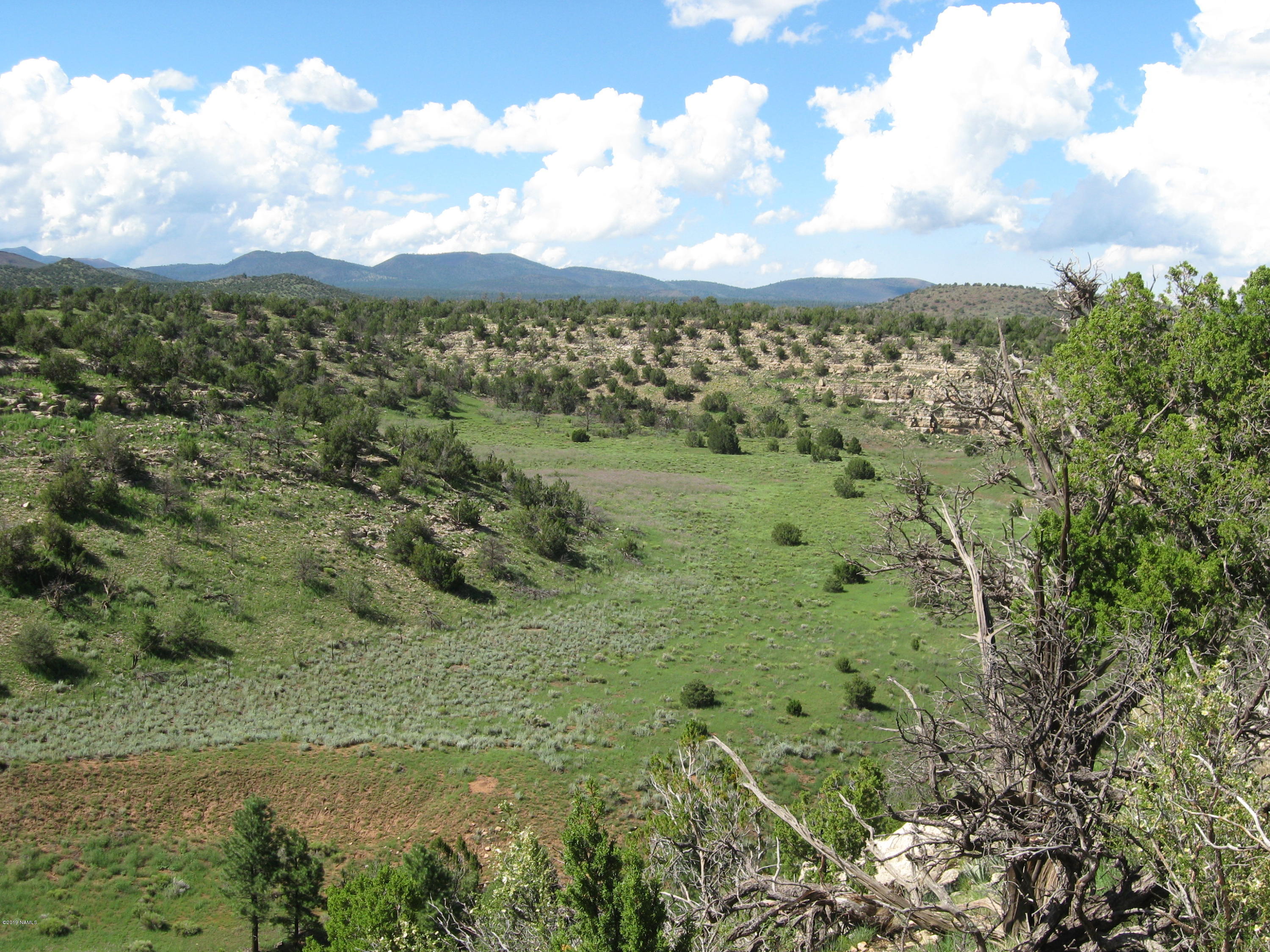 12899 Stockmens Road Flagstaff, AZ 86038 - Photo 9 of 26 a view of a green field