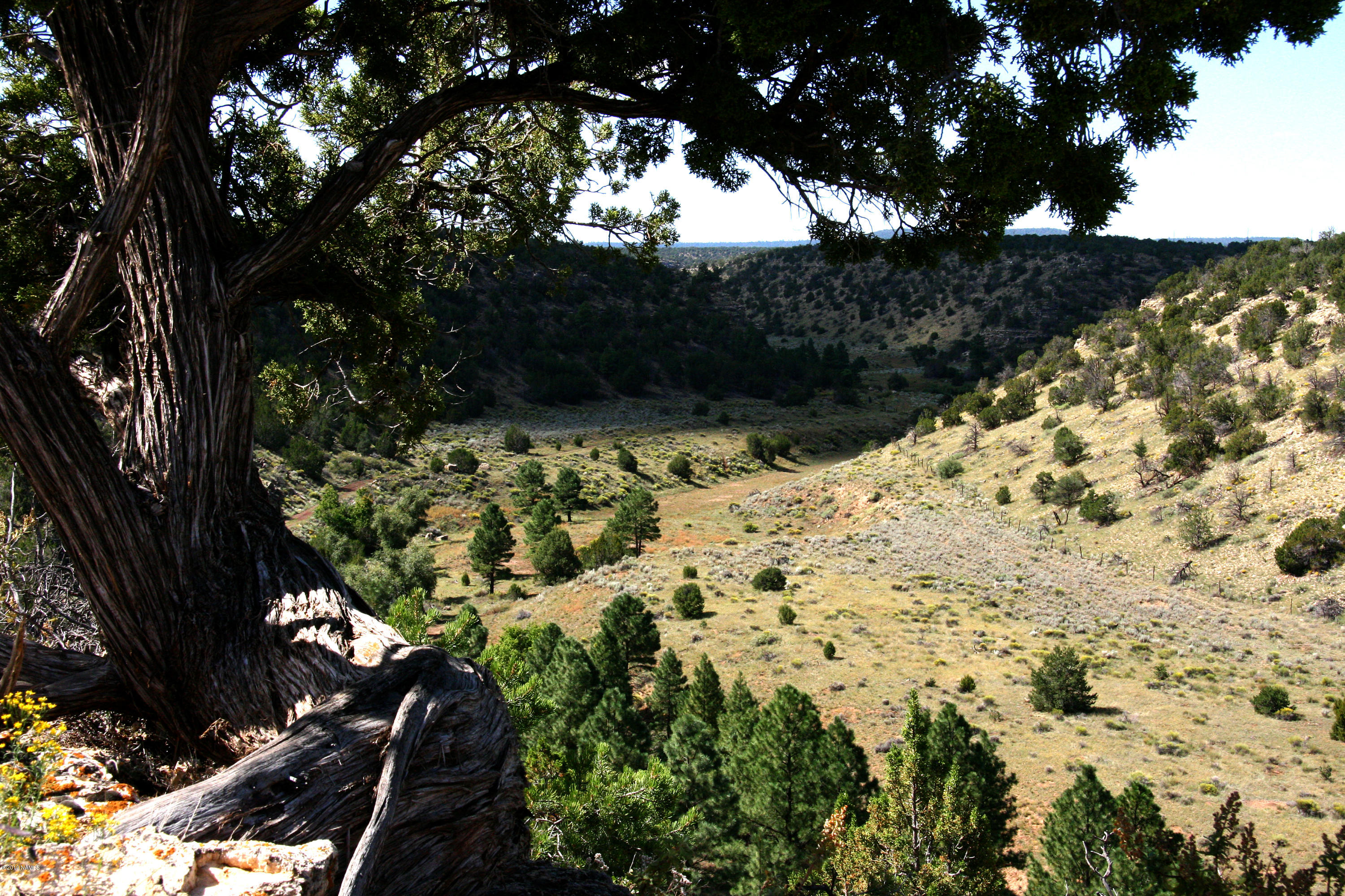 12899 Stockmens Road Flagstaff, AZ 86038 - Photo 10 of 26 a view of a yard with wooden fence