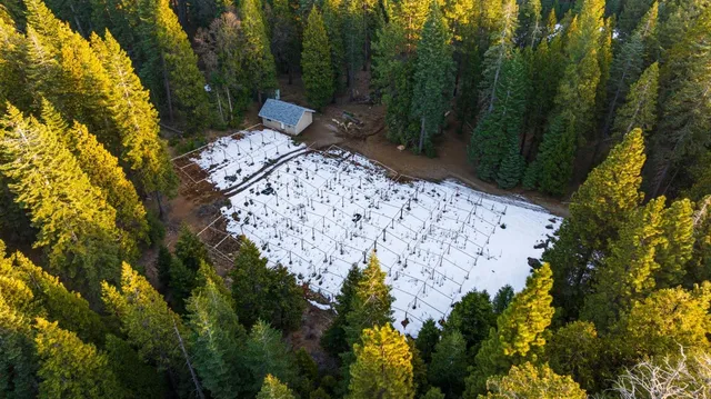 $224,999 | 16277 Ophir Silver Road, Nevada City, CA 95959