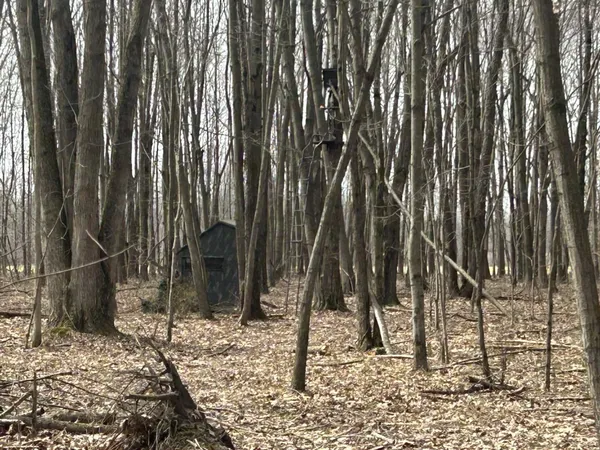 $299,900 | 6551 Brown Road, Jonesville, MI 49250