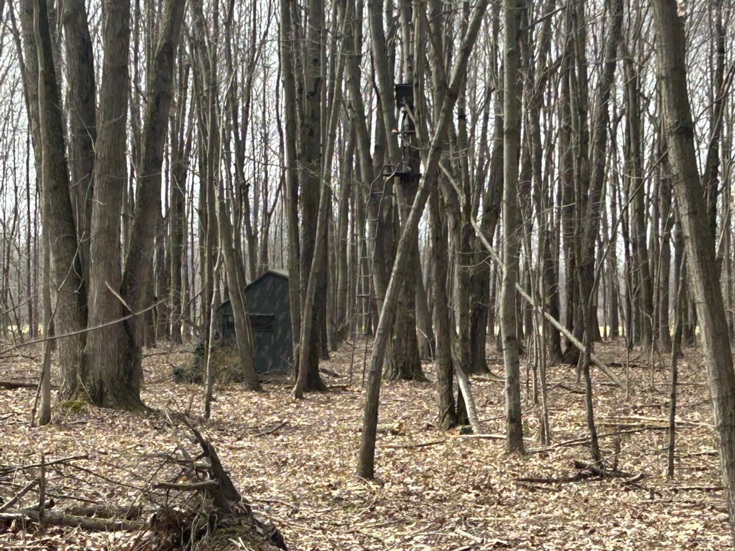 6551 Brown Road Jonesville, MI 49250 - Photo 11 of 13 brown11