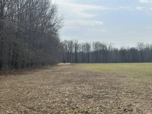 $299,900 | 6551 Brown Road, Jonesville, MI 49250