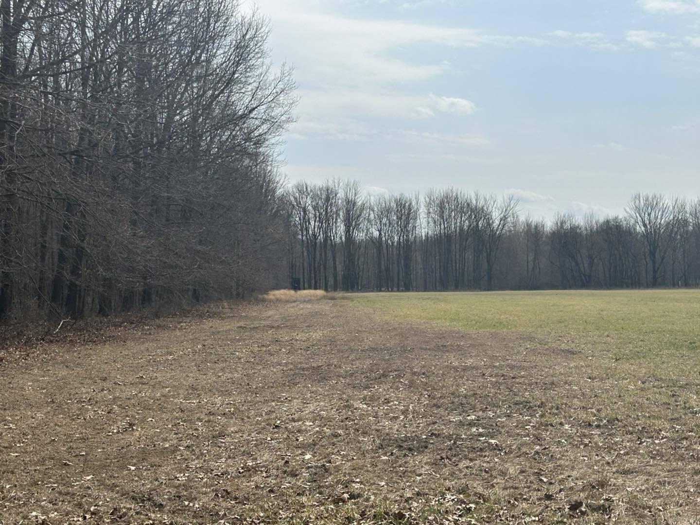 6551 Brown Road Jonesville, MI 49250 - Photo 12 of 13 brown12