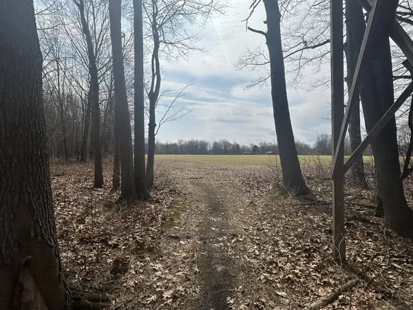 $299,900 | 6551 Brown Road, Jonesville, MI 49250