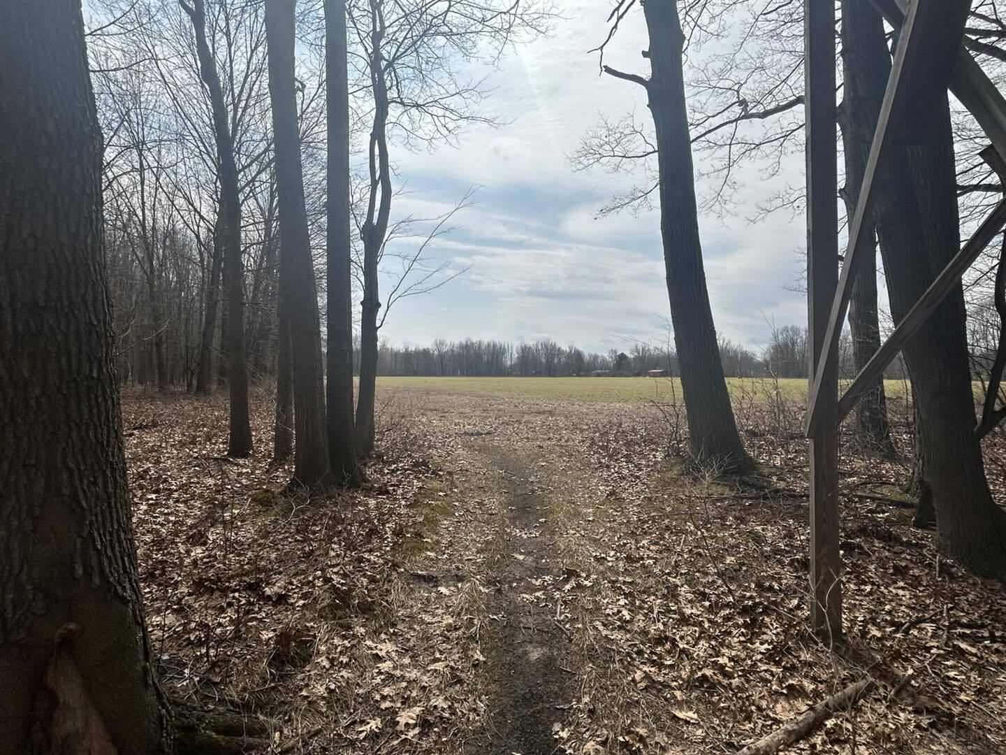 6551 Brown Road Jonesville, MI 49250 - Photo 3 of 13 brown3