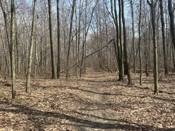 $299,900 | 6551 Brown Road, Jonesville, MI 49250