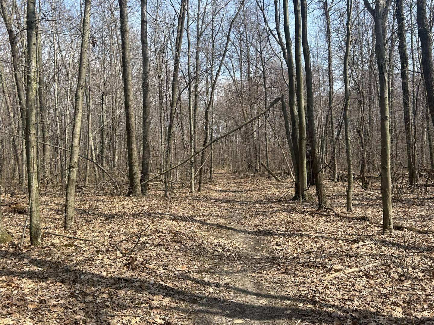 6551 Brown Road Jonesville, MI 49250 - Photo 4 of 13 brown4