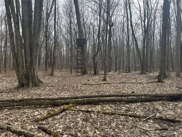 $299,900 | 6551 Brown Road, Jonesville, MI 49250