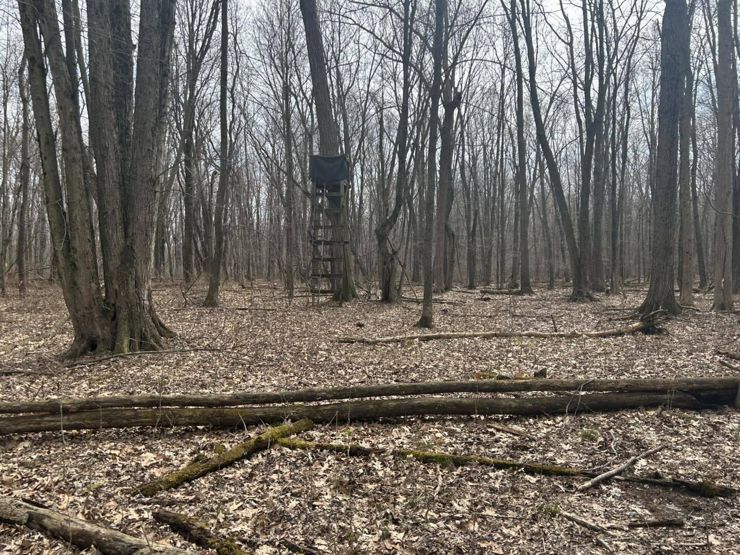 6551 Brown Road Jonesville, MI 49250 - Photo 5 of 13 brown5