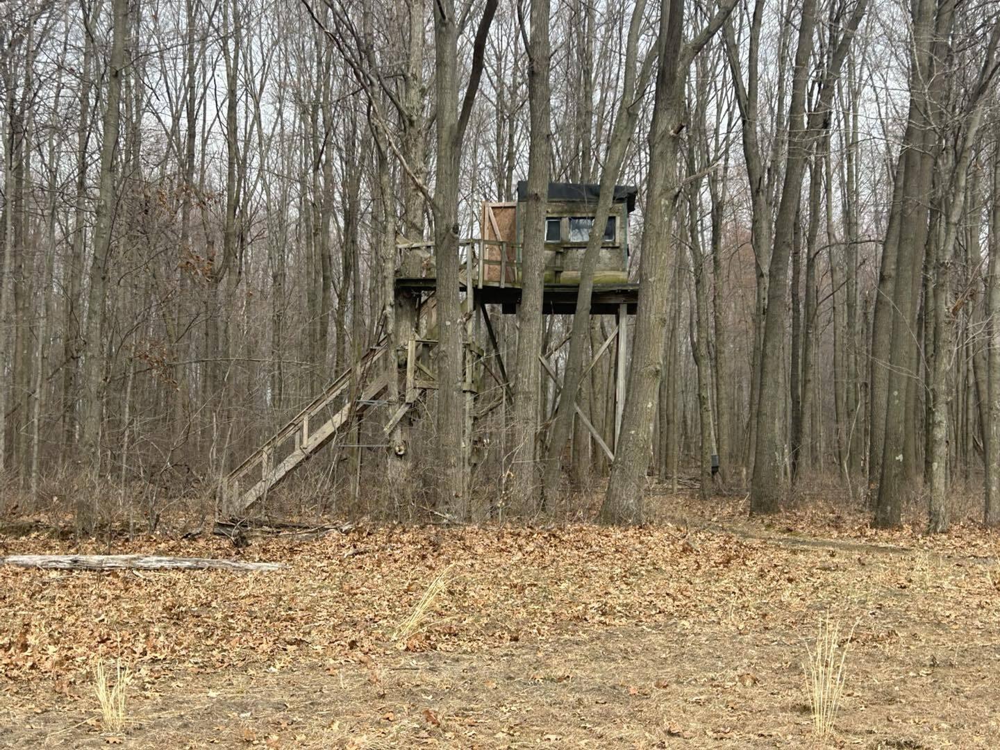 6551 Brown Road Jonesville, MI 49250 - Photo 6 of 13 brown6