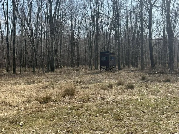 $299,900 | 6551 Brown Road, Jonesville, MI 49250