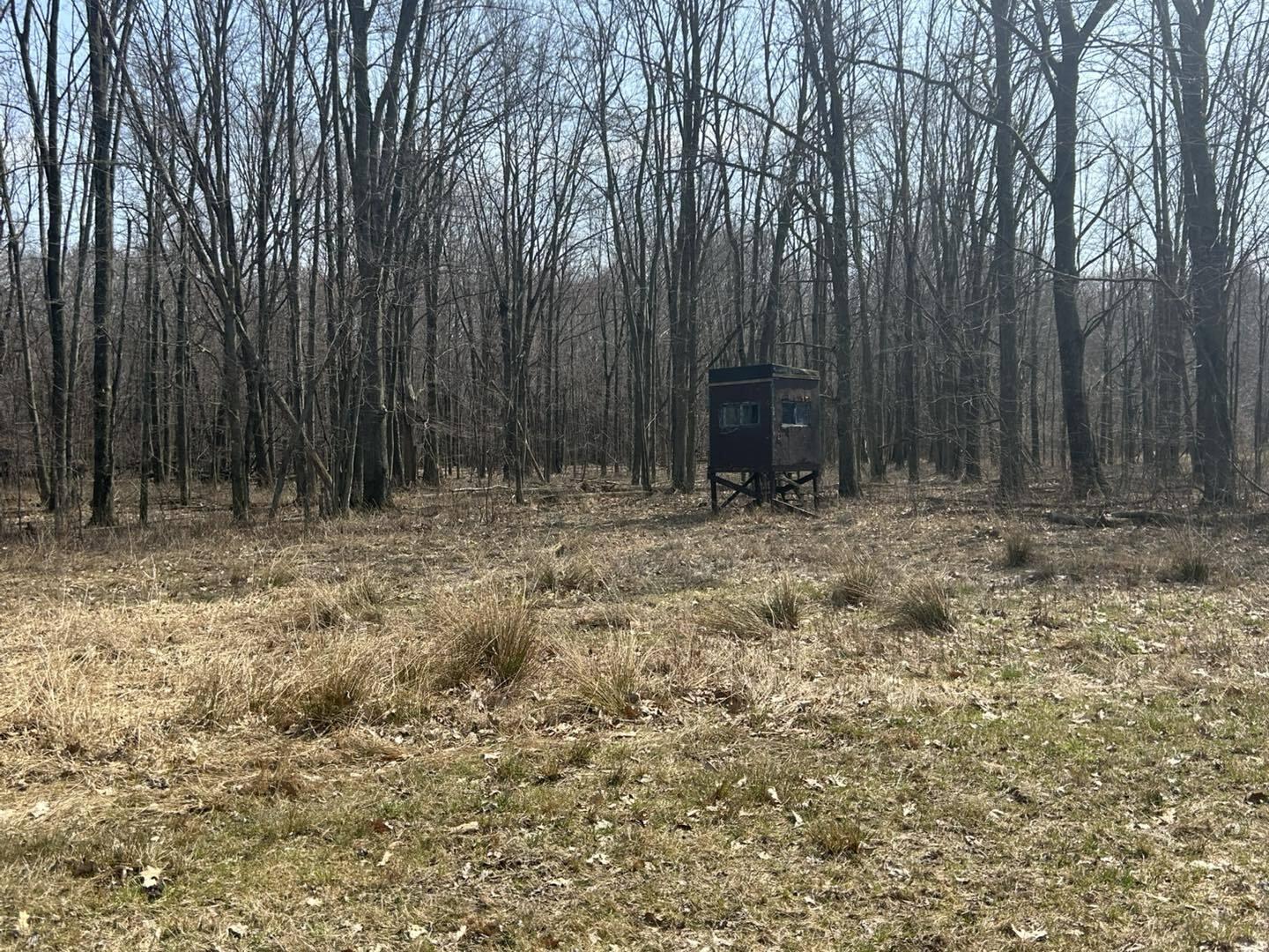 6551 Brown Road Jonesville, MI 49250 - Photo 7 of 13 brown7