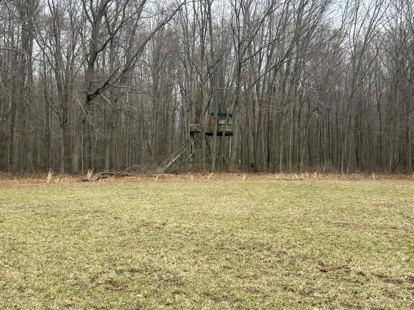 6551 Brown Road Jonesville, MI 49250 - Photo 8 of 13 brown8