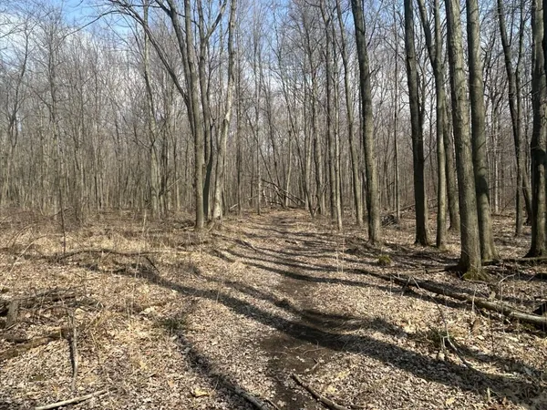 $299,900 | 6551 Brown Road, Jonesville, MI 49250