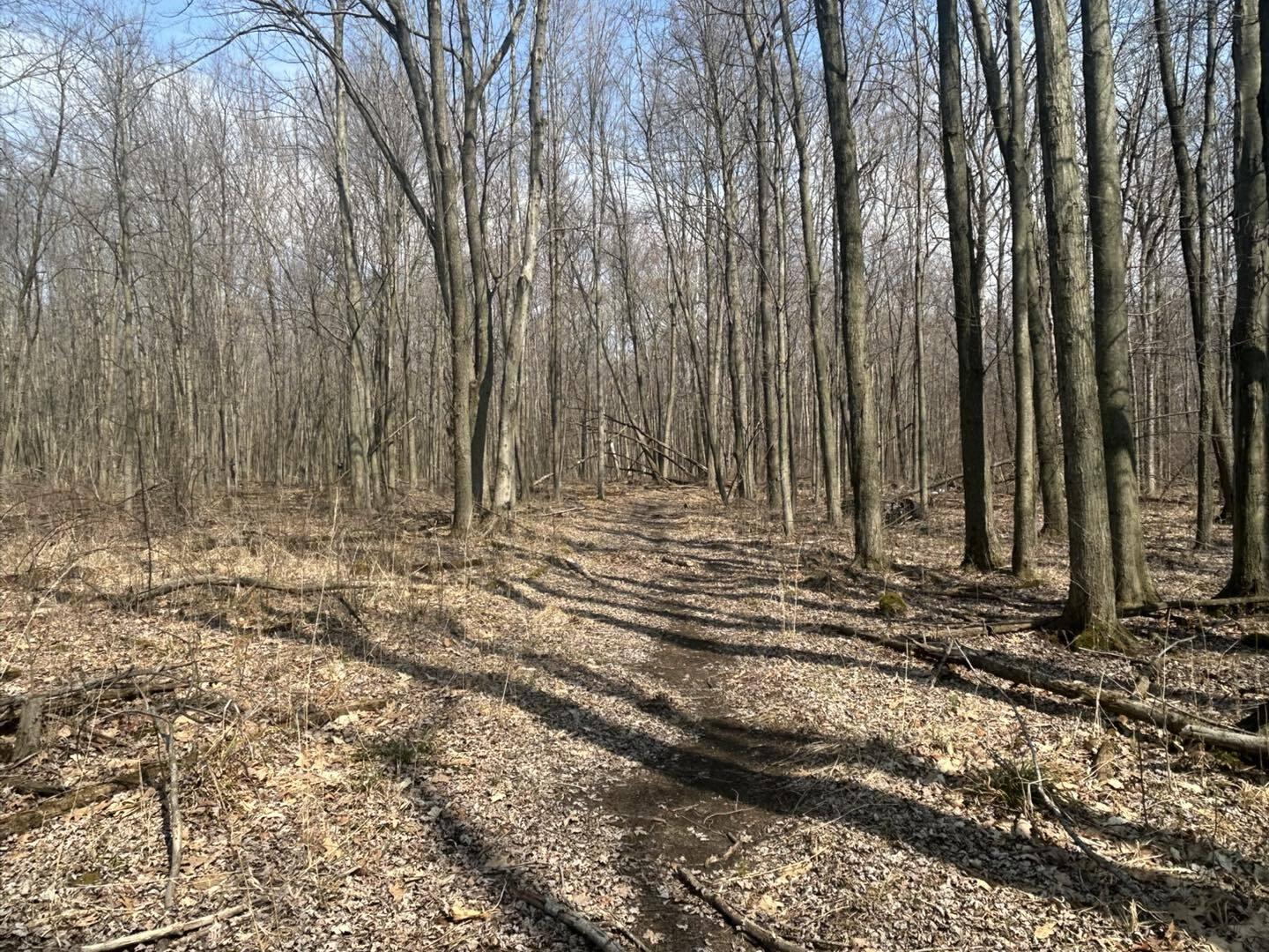 6551 Brown Road Jonesville, MI 49250 - Photo 9 of 13 brown9