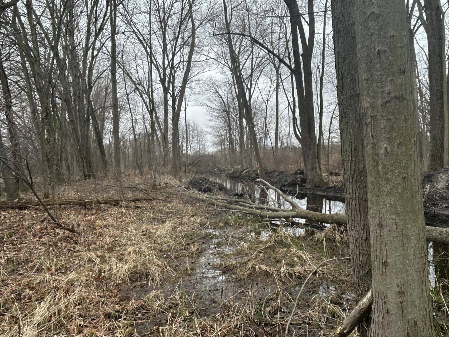 6551 Brown Road Jonesville, MI 49250 - Photo 10 of 13 brown10