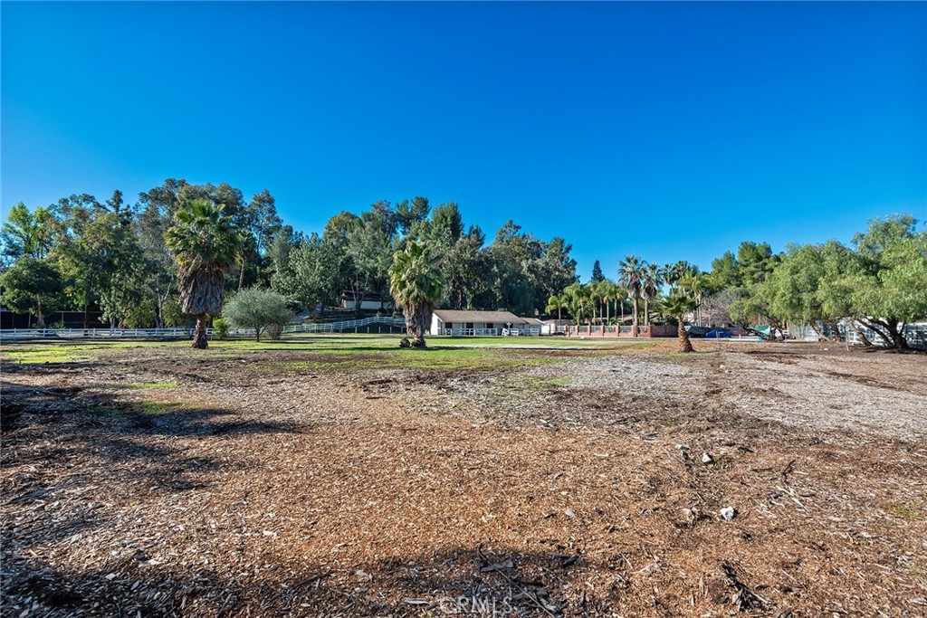5546 Paradise Valley Road Hidden Hills, CA 91302 - Photo 4 of 14 a view of outdoor space with trees