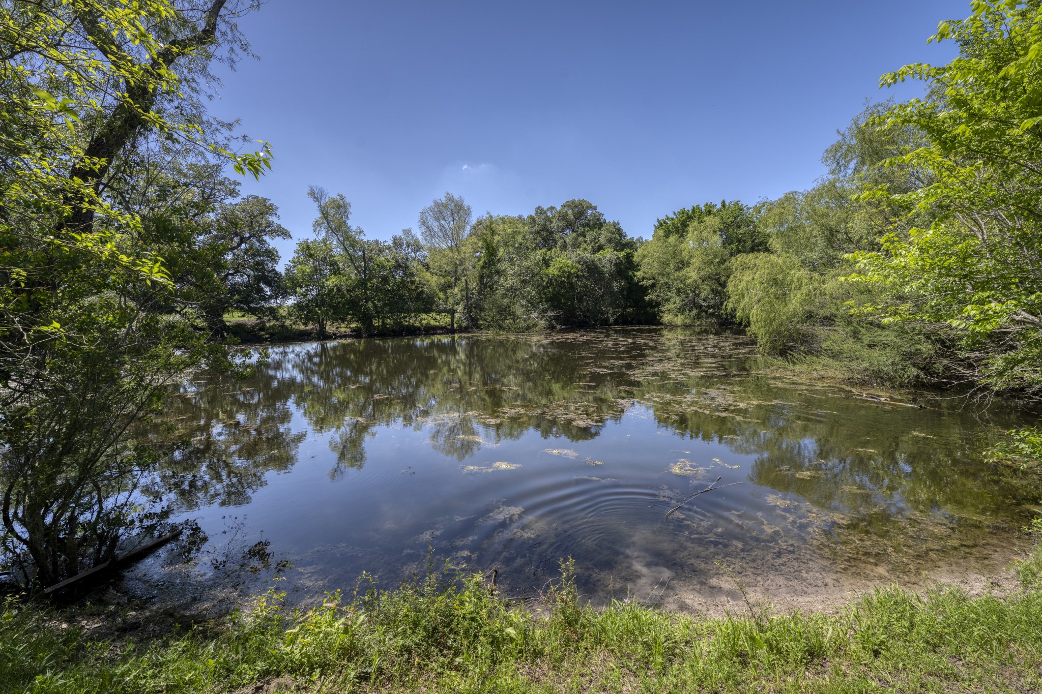 15140 Bluff Road Washington, TX 77880 - Photo 13 of 22