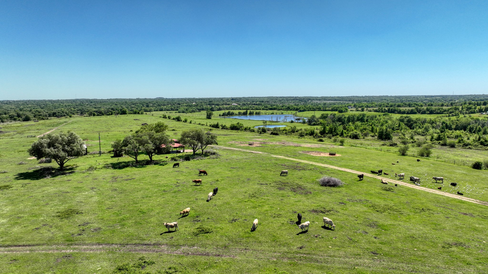 15140 Bluff Road Washington, TX 77880 - Photo 16 of 22