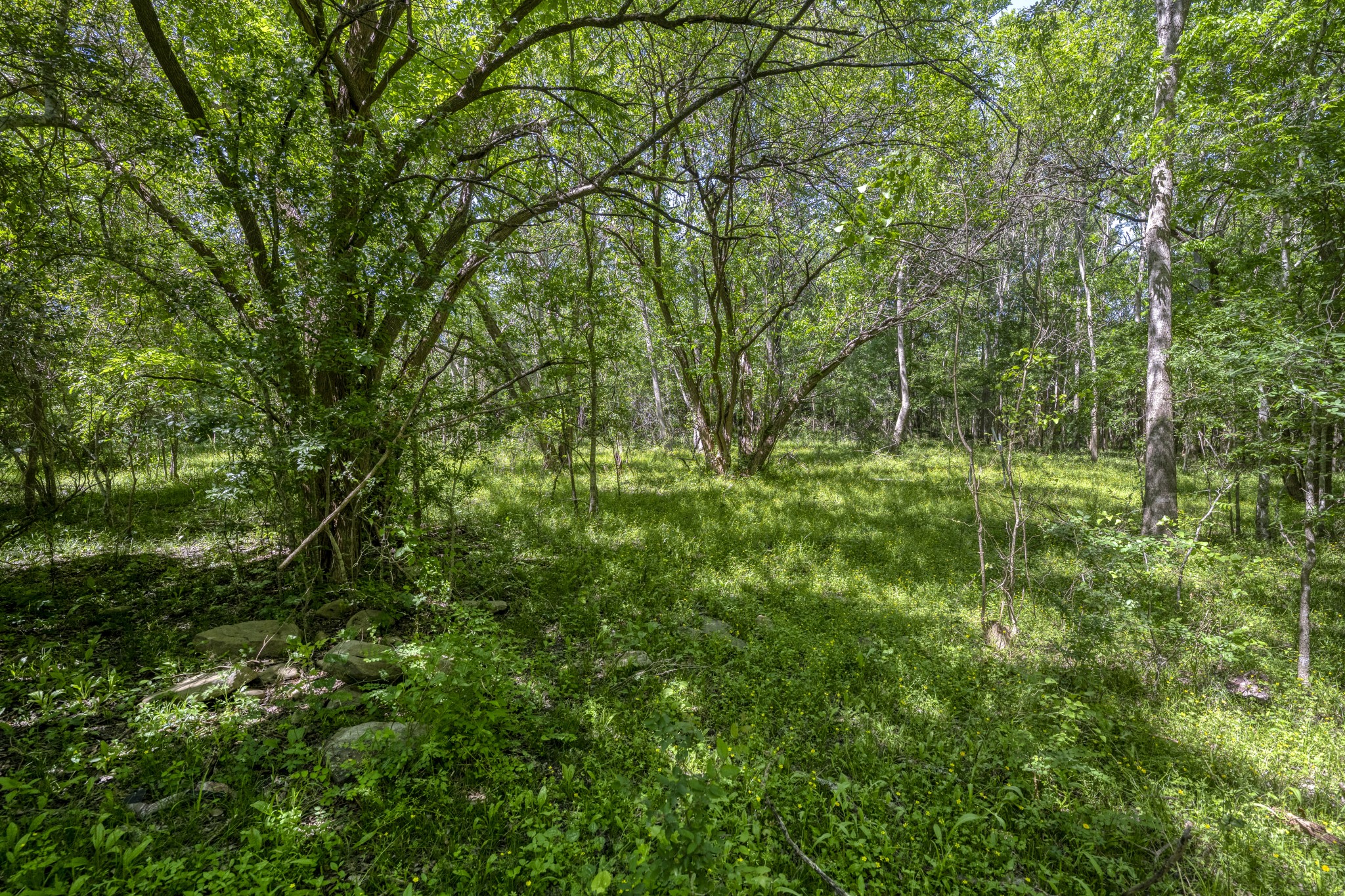 15140 Bluff Road Washington, TX 77880 - Photo 19 of 22