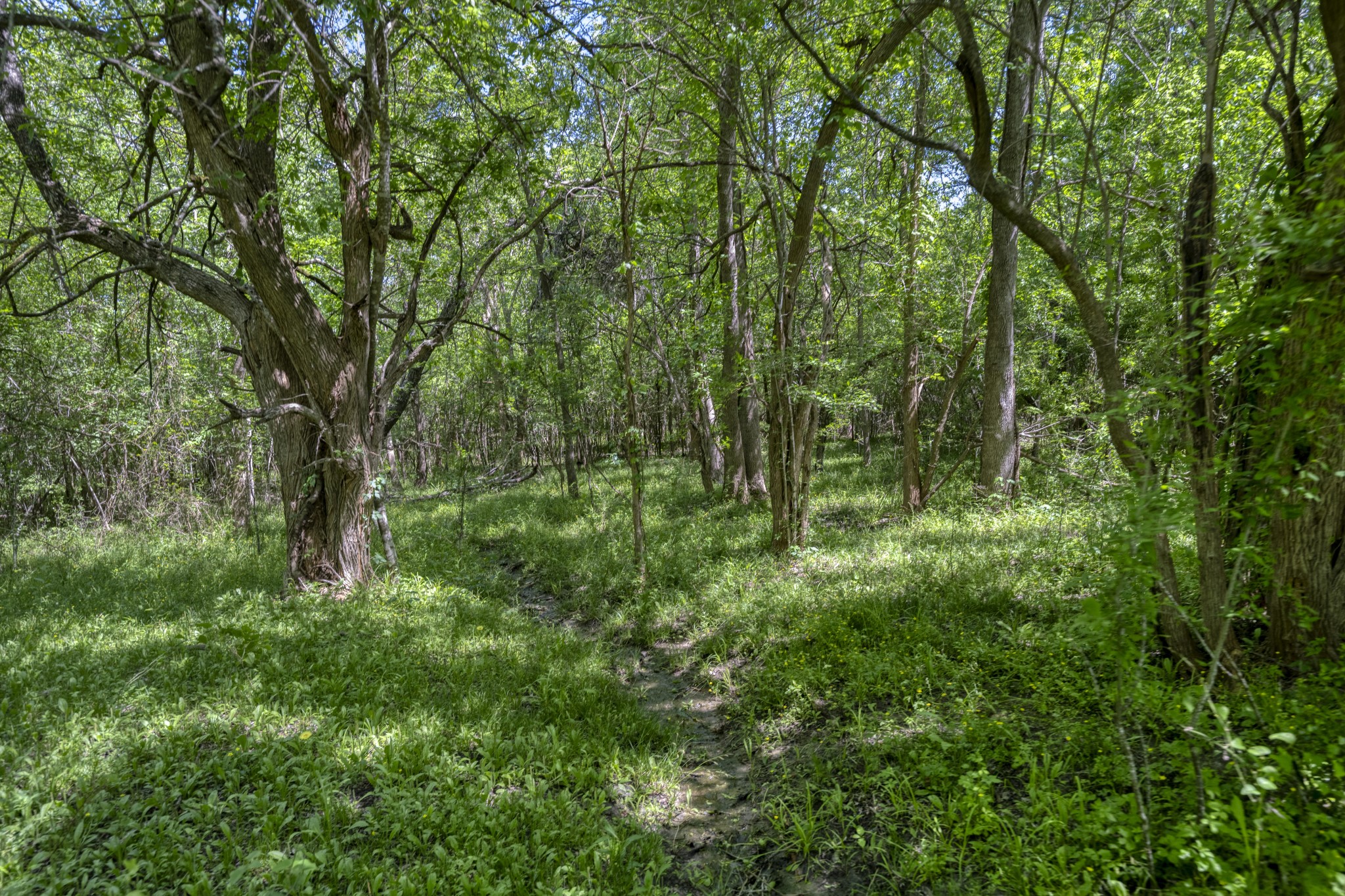 15140 Bluff Road Washington, TX 77880 - Photo 20 of 22