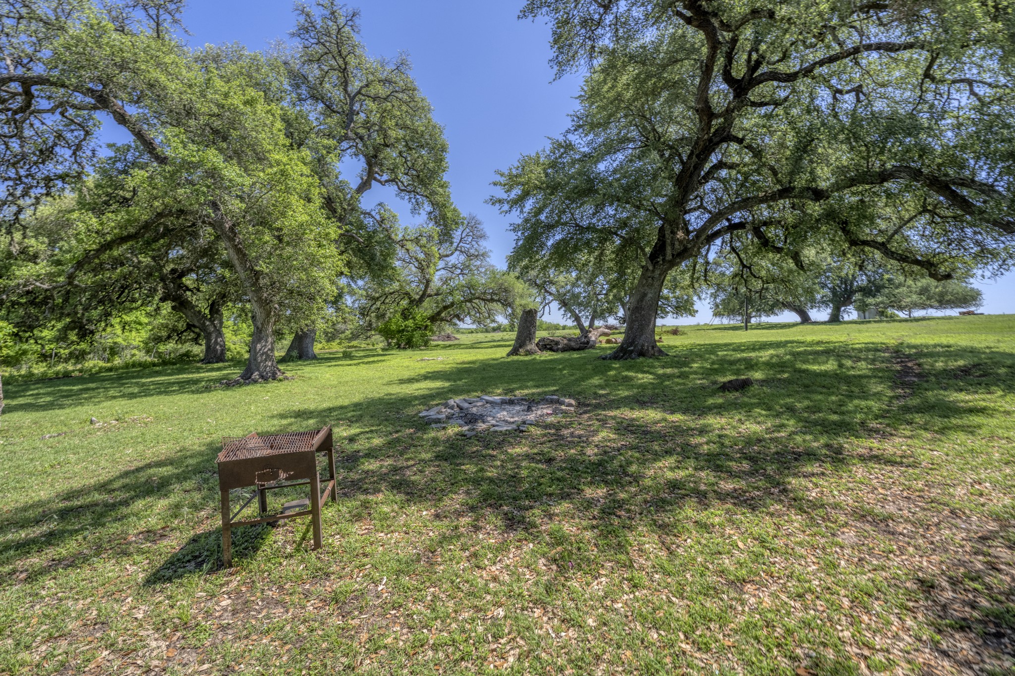 15140 Bluff Road Washington, TX 77880 - Photo 4 of 22