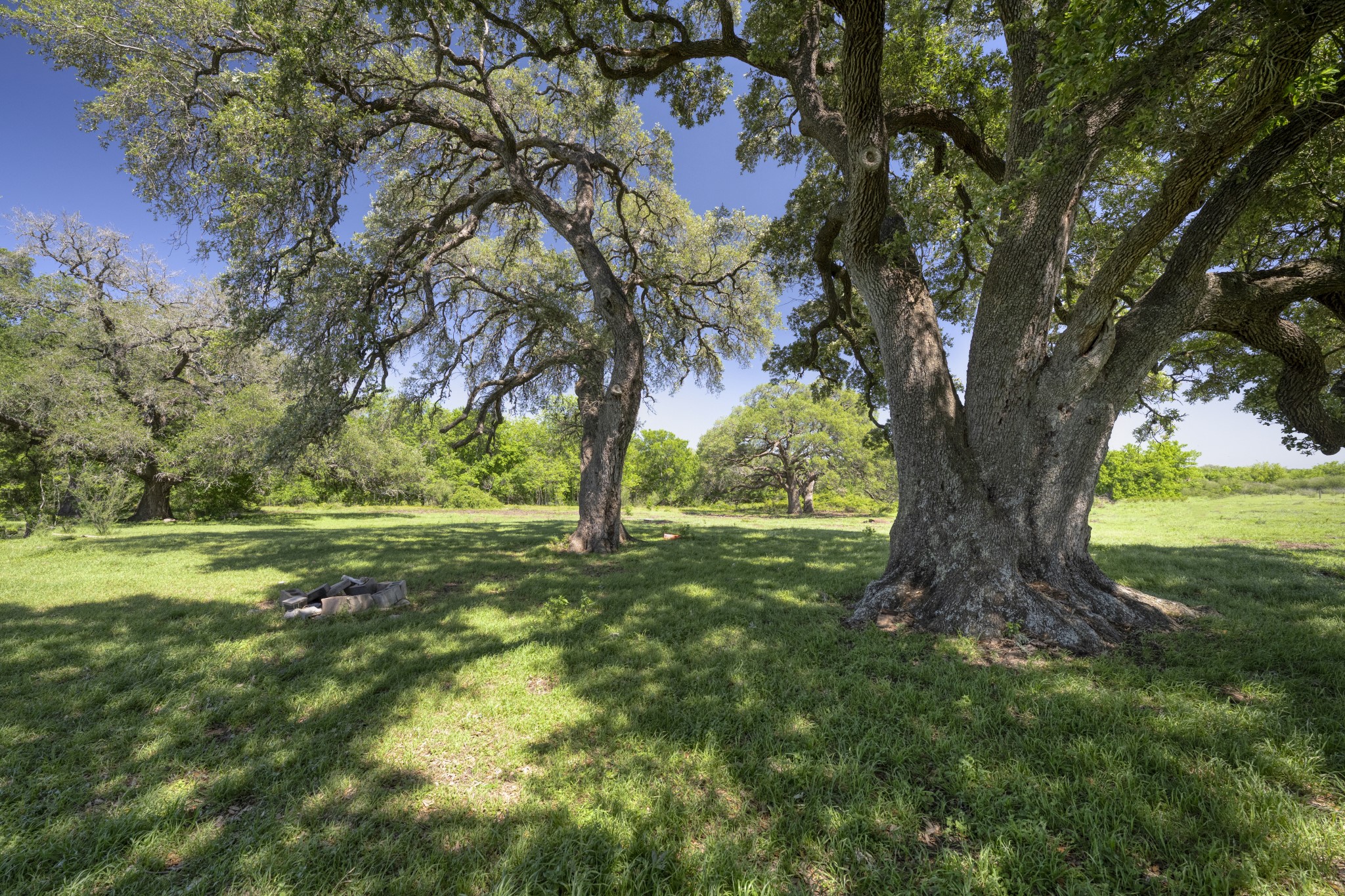 15140 Bluff Road Washington, TX 77880 - Photo 6 of 22