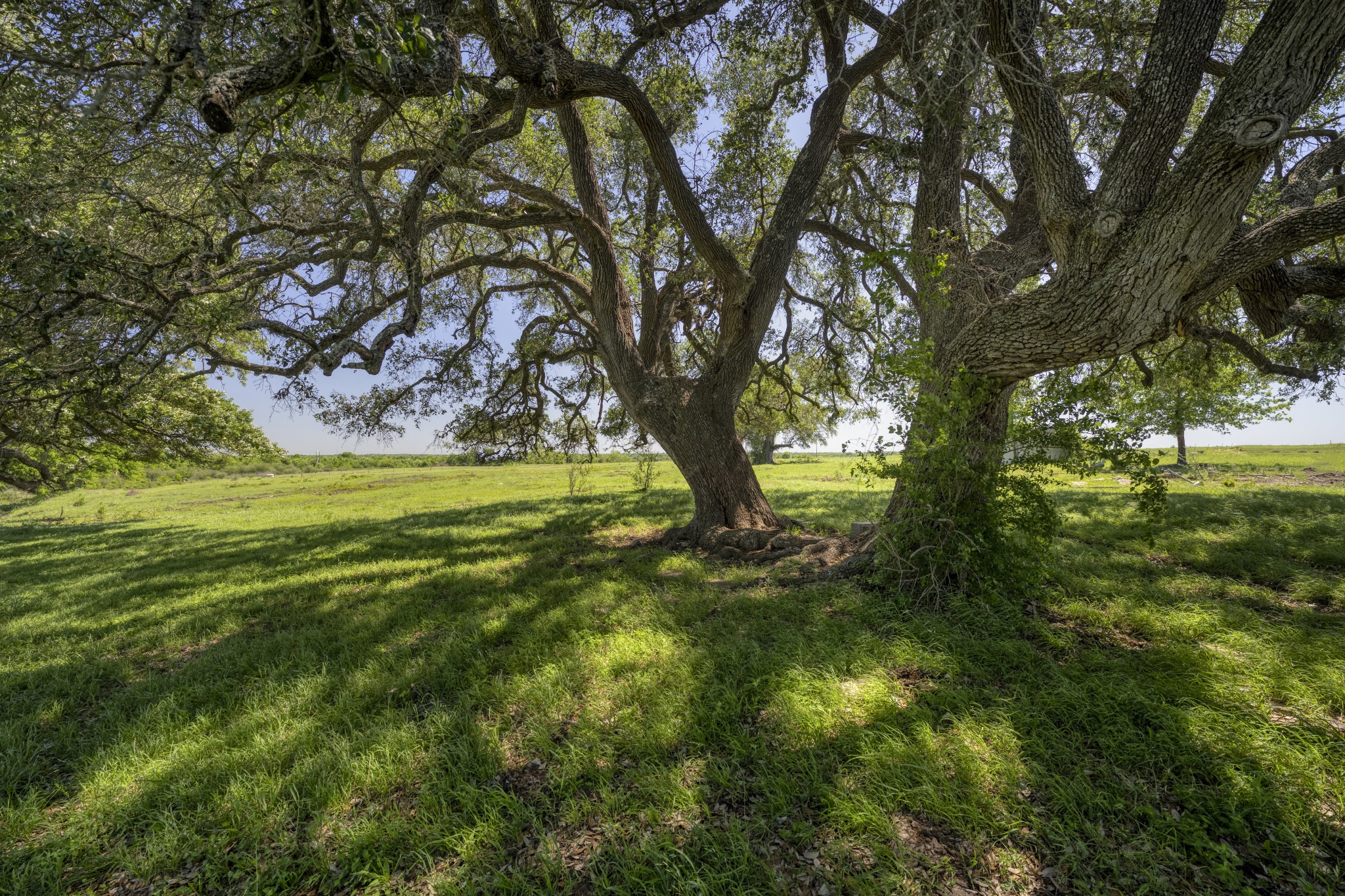 15140 Bluff Road Washington, TX 77880 - Photo 8 of 22