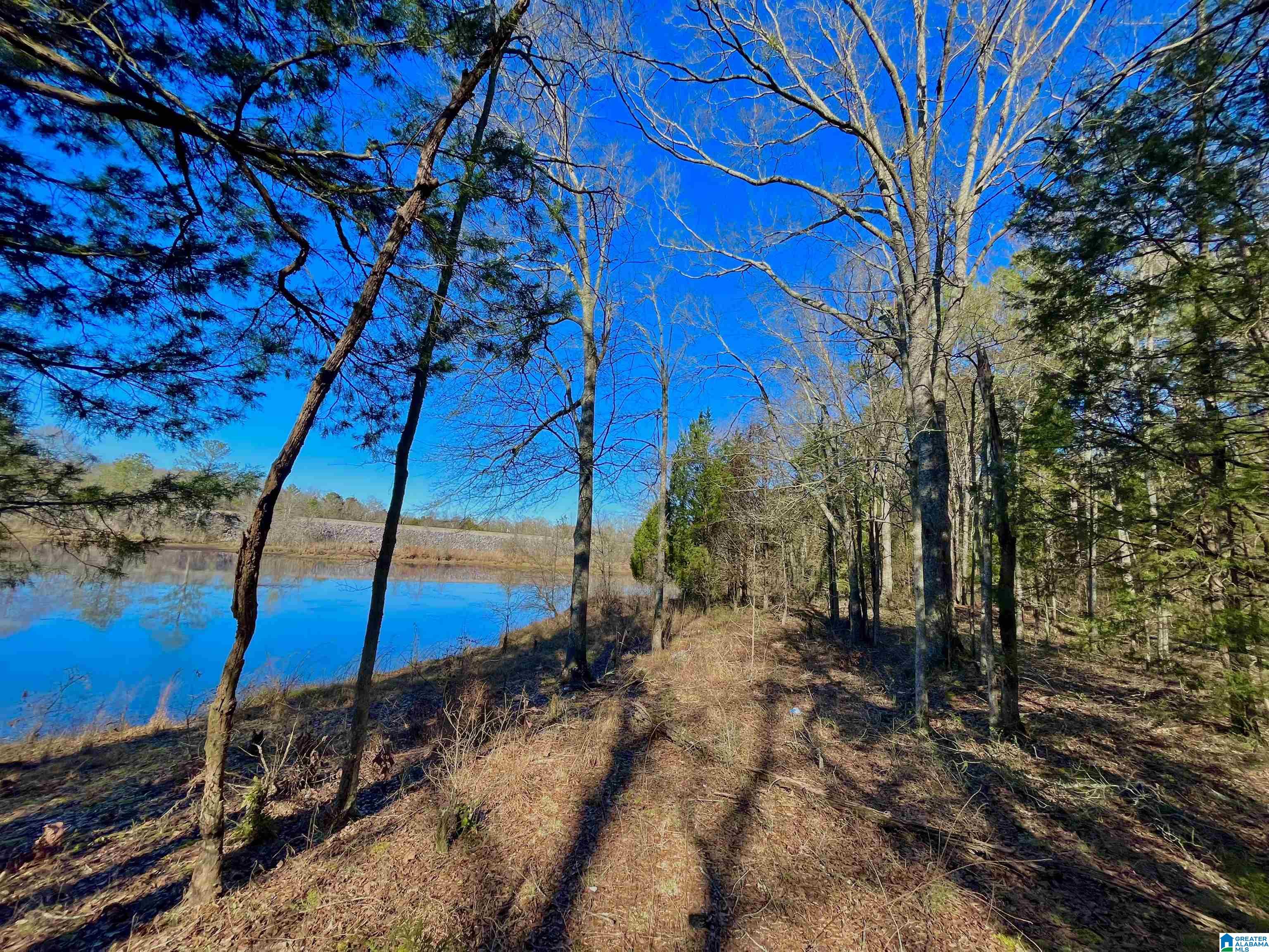 78 Highway Riverside, AL 35135 - Photo 10 of 23