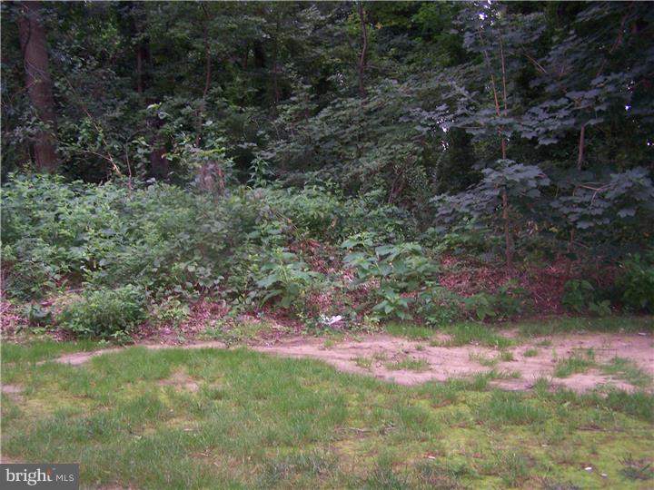 810 North Forklanding Road, Unit 301 Maple Shade, NJ 08052 - Photo 13 of 15