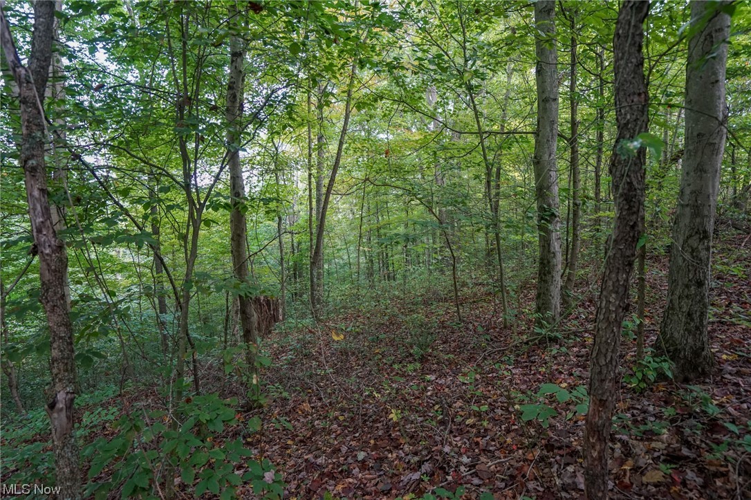 0 Reed Marietta, OH 45750 - Photo 18 of 35 View of nature