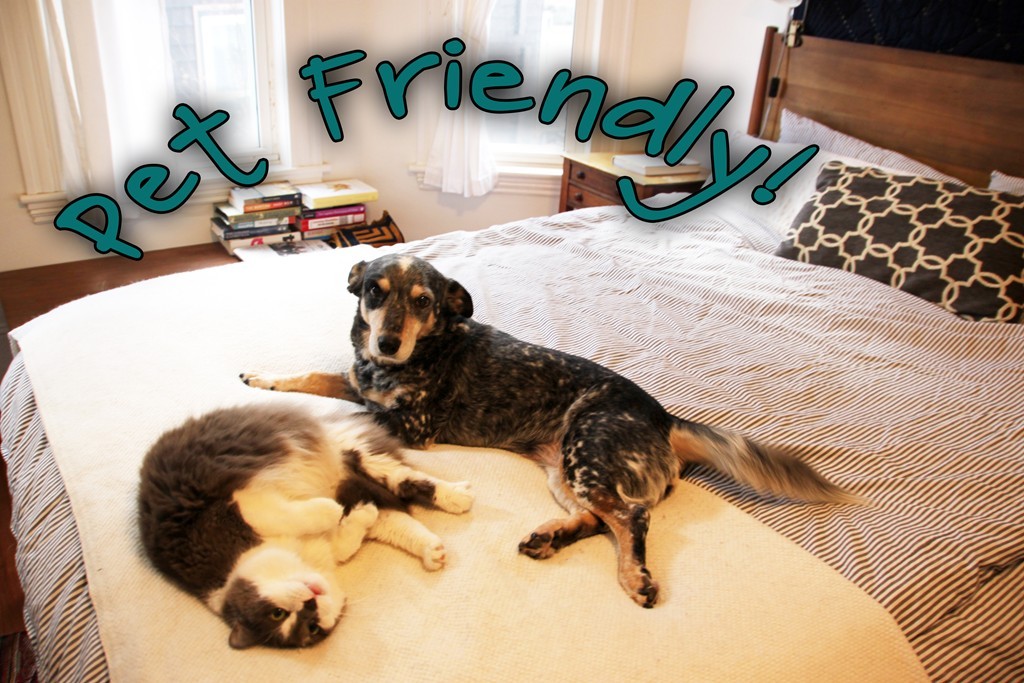 80 Aldrich Street, Unit 2 Boston, MA 02131 - Photo 15 of 20 a bedroom with a bed and a table