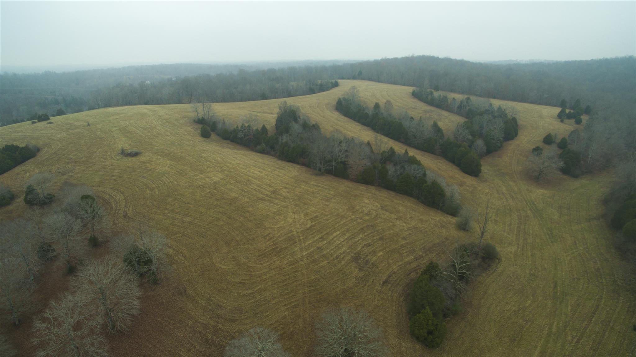 0 Bruce Road Dickson, TN 37055 - Photo 8 of 20