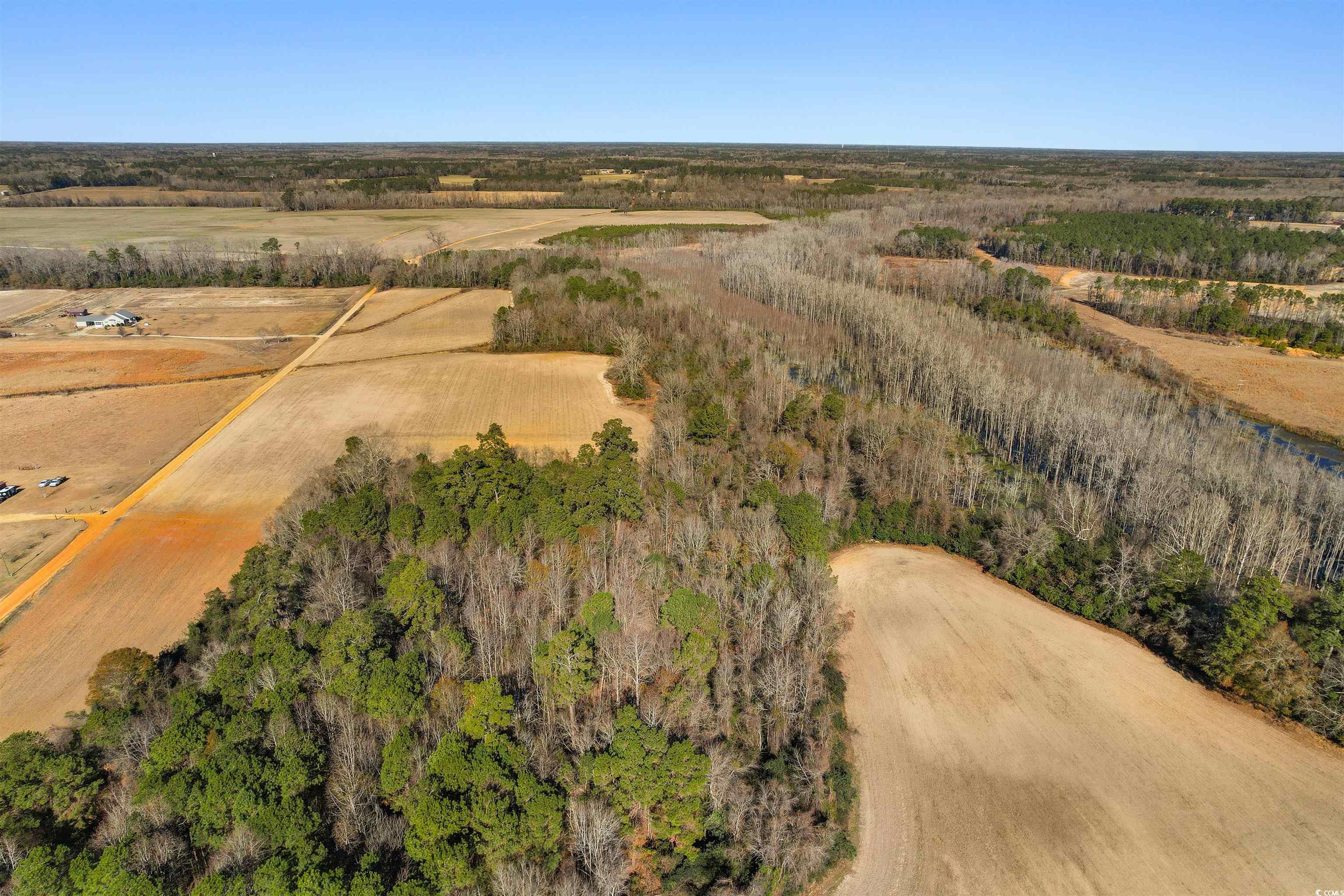 Tbd Elista Road Mullins, SC 29574 - Photo 14 of 16 View of property location featuring rural landscape