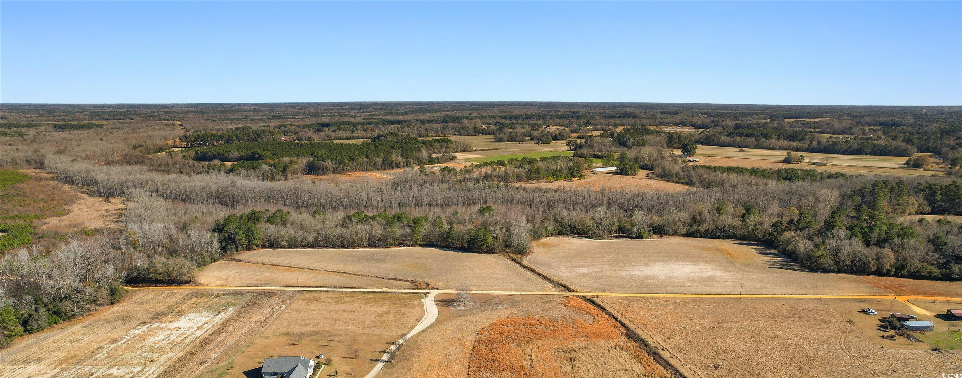 Tbd Elista Road Mullins, SC 29574 - Photo 16 of 16 Overview of rural landscape
