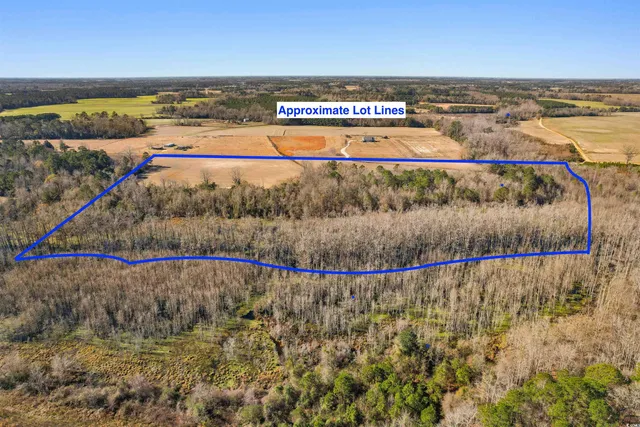 $270,000 | Tbd Elista Road, Mullins, SC 29574