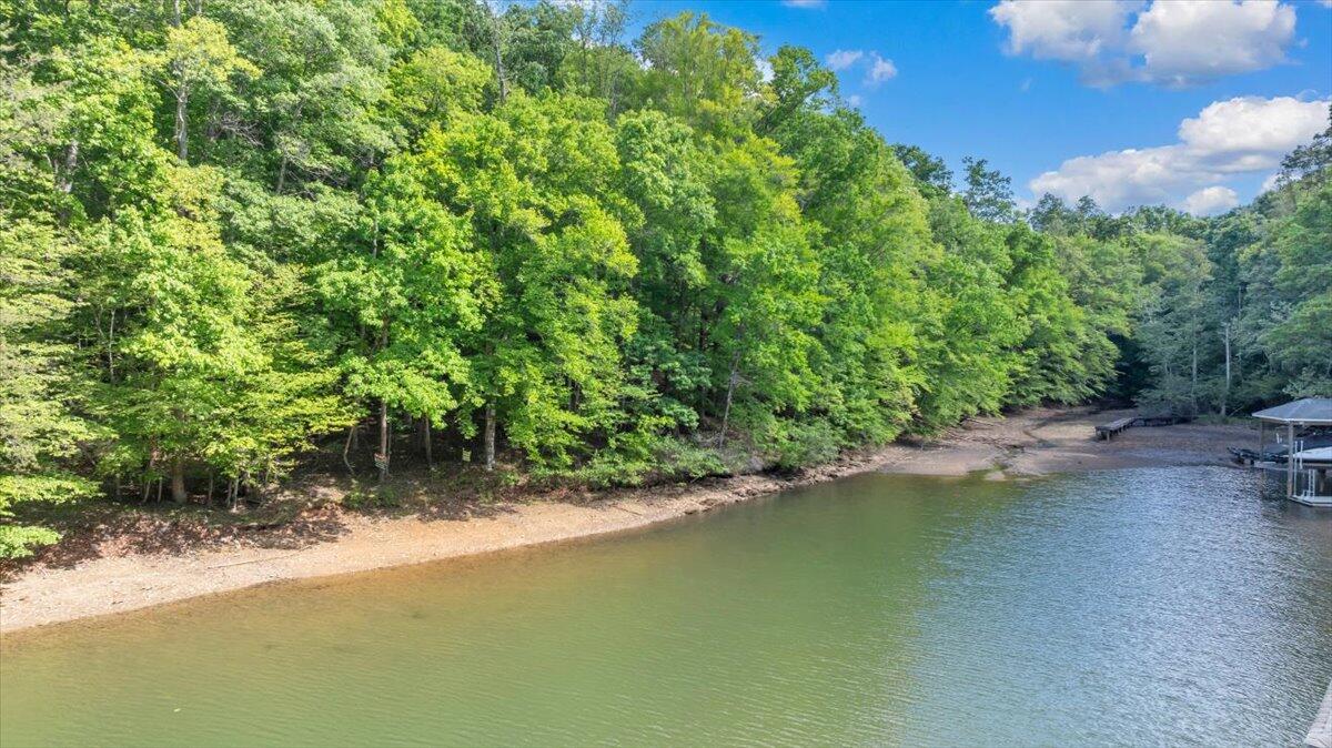 0 Somerset Cove Road Union Hall, VA 24176 - Photo 3 of 34 a view of a lake with a yard