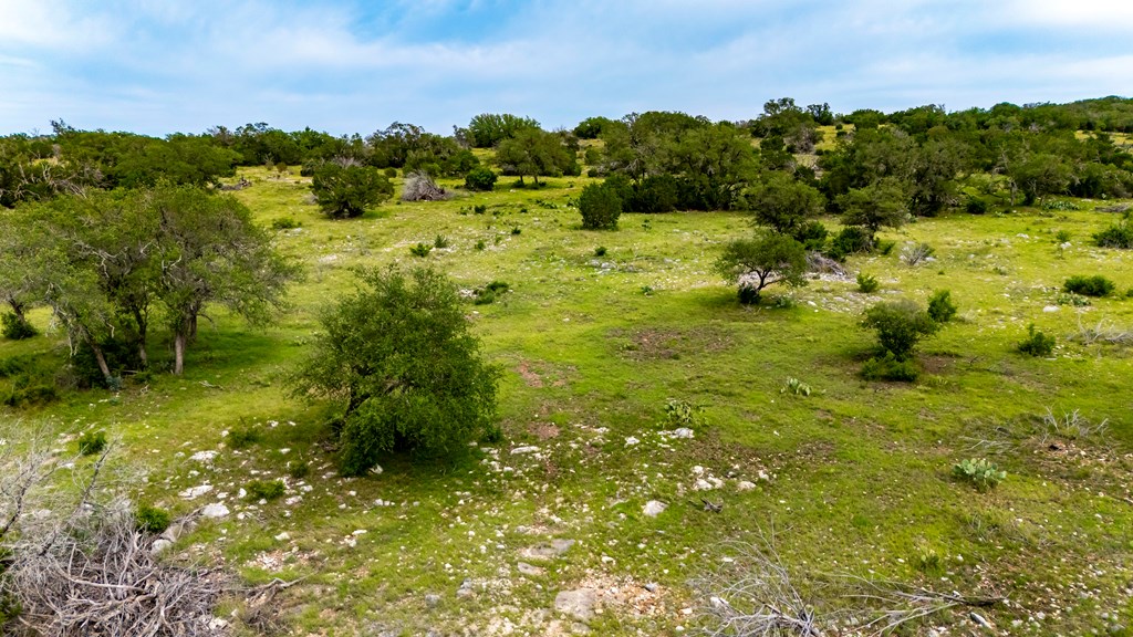Lot 1 Northwest Nw Highway Rocksprings, TX 78880 - Photo 17 of 30 a view of a garden with an ocean