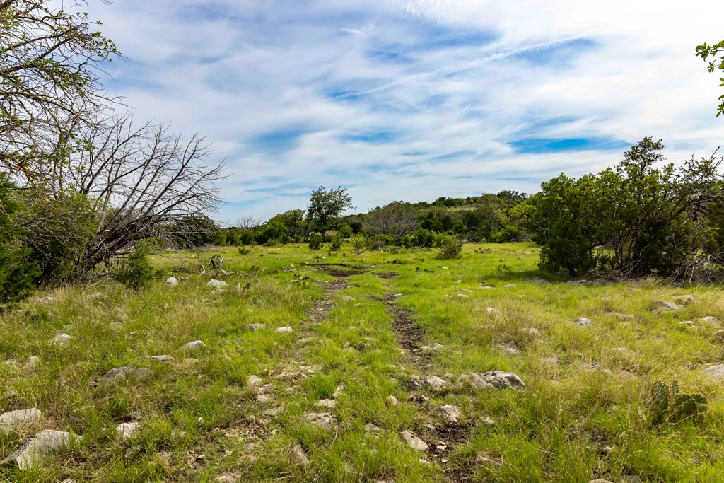 Lot 1 Northwest Nw Highway Rocksprings, TX 78880 - Photo 21 of 30 a view of a large yard with plants and large trees