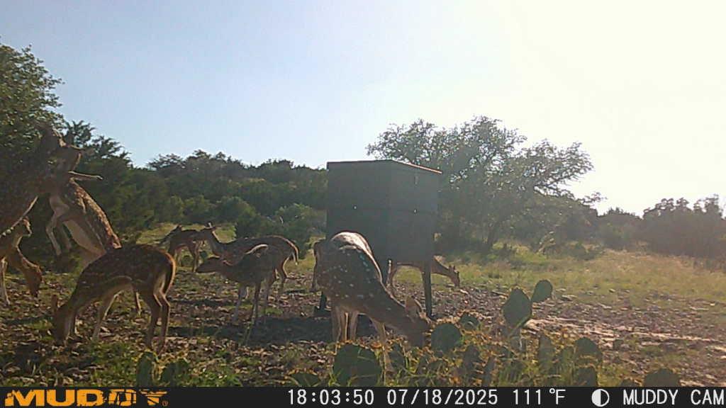 Lot 1 Northwest Nw Highway Rocksprings, TX 78880 - Photo 22 of 30 a view of an outdoor space